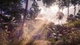 Ключ активации Bottle: Pilgrim Redux для Xbox One/Series S/X - изображение 2