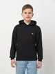 Детское худи для мальчика Levi`s Lvb Mini Batwing Hoodie 9EL452-023 134-140 см Черное (3666643114312) - изображение 1