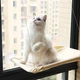 Гамак лежанка на окно для кота 35 х 55 см на присосках Hammock Сat бежевый (GS-176909) - изображение 7