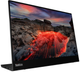 Монитор 14" Lenovo ThinkVision M14t G2 (63FDUAT6WL) - изображение 2