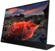 Монитор 14" Lenovo ThinkVision M14t G2 (63FDUAT6WL) - изображение 3
