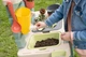 Кухня Smoby Toys Life Садівництво 72x36x99 см (7600840208) (3032168402089) - зображення 12