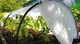 Мини парник MaksiAgro 8 м, плотность 50 г/м², 80×120 см — компактная теплица из агроволокна для защиты и быстрого роста растений - изображение 8