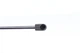 Амортизатор кришки багажника Skoda Rapid 12- GS1221 430719122100 MAGNETI MARELLI - зображення 2