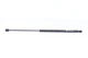 Амортизатор кришки багажника Lada 2111 GS0106 430719010600 MAGNETI MARELLI - изображение 4