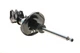 Амортизатор передній L Honda CR-V III/IV 06- B4 22-214089 BILSTEIN - изображение 11