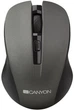 Мышка Canyon MW-1 Wireless Gray (CNE-CMSW1G) - изображение 1
