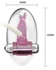 Клиторальная помпа Resonating Automatic Clitoral Pump (19387000000000000) - изображение 3
