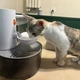 Автоматическая поилка-фонтан для кошек и собак PetGravity 3л - изображение 13
