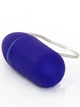 Беспроводное виброяйцо Funky Remote Egg (09574000000000000) - изображение 4