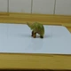 Акриловый зеркальный фон 50 х 50 см (белый) для предметной съемки - изображение 5