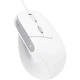 Мышь Trust Bayo II Ergonomic USB White (25397) [115601] - изображение 3