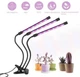 Світлодіодна LED-фітолампа Grow Light для вирощування рослин розсади Повний спектр 3 голови USB 30 Вт - зображення 6