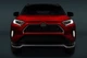 Накладки на радіаторну решітку (2 шт) для Toyota Rav 4 (2019 та новіші) - зображення 1