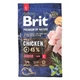 Сухий корм Brit Premium Dog Junior L для цуценят та юніорів великих порід, з куркою, 3 кг - зображення 3