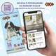 Карандаши цветные ZiBi Dogs&Cats шестигранные 12 цветов (ZB.2427) - изображение 3