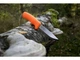 Ніж Morakniv BushCraft Hi-Vis Orange з нержавіючої сталі (12492) - зображення 2