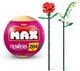 Конструктор у капсулі Max S1 Садові квіти в асортименті (83184GQ1) (6900007518444) - изображение 2