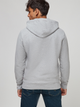 Худі чоловіче Levi's Standard Graphic Hoodie Co Hm Two Color 38424-0000 2XL Сірий (5400898437844) - зображення 2
