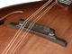 Мандоліна Richwood RMA-90-NT - изображение 5