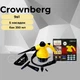 Пароочисник 9в1 Crownberg CB3141 iC227, 350 мл, відпарювач з функцією пароочисника, ручний відпарювач - зображення 1