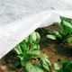 Агроволокно Growtex белое 23 плотность*1,6 м ширина * 100м длина - изображение 5