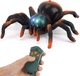Павук Тарантул на радіокеруванні, чорний - Maya Toys (8901) - зображення 1