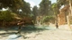 Ключ активації ARK: Survival Ascended для Xbox Series S/X - зображення 2