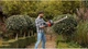 Электрический кусторез Black&Decker 600 Вт (BEHTS501-QS) - изображение 3