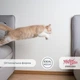 Сухой корм для стерилизованных кошек Migliorgatto Sterilized с говядиной 400 г (8007520014854) - изображение 2