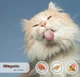 Монопротеїновий сухий корм для кішок Morando MioGatto Sensitive Monoprotein лосось 400 г (8007520086394) - зображення 3