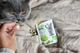 Вітамінізовані таблетки для котів GimCat Gras Bits трав'яні кульки, пауч, 425 г, арт. G-427270 - зображення 5