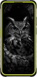 Мобильный телефон Ulefone Armor X31 Pro 8/256GB Lightsome Green - изображение 2