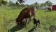 Ключ активации Professional Farmer: American Dream для Xbox One/Series - изображение 4