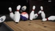 Ключ активации PBA Pro Bowling 2021 для Xbox One/Series - изображение 4