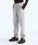 Брюки женские The North Face Pants Core S Сірий NF0A890HGAV - изображение 1