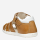 Sandały chłopięce skórzane Geox B Sandal Macchia Boy B254VA0CL54-CT61Z 22 Brązowe (8058192180071) - obraz 6