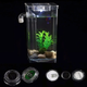Акваріум самоочисний 2л, з LED підсвічуванням, My Fun Fish (L) - изображение 5