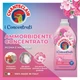 Пом'якшувач для прання білизни ChanteClair Ammorbidente Peone e Magnolia 1140 мл 57 прань - зображення 4