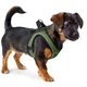 Шлея для собак Hunter Hilo Comfort XXS Green (4016739697950) - зображення 4