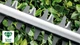 Кущоріз Bosch UniversalHedgeCut 60 (06008C0703) - зображення 5