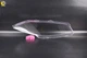 Стекло фары Renault Megane 2 (2002-2006) дорест левое Lemarix (A39-5701-1) - изображение 2