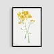 Постер Roomy "Yellow Blooms" Белая рамка с глянцевым стеклом A4 (29.7x21 cm) - изображение 1