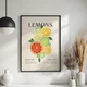 Постер Roomy "Lemon Variety" Без рамки A3 (42x29.7 cm) - зображення 5