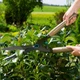 Ножницы для живой изгороди Gardena NatureCut 12300-20 - изображение 3