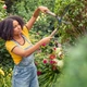 Ножницы для живой изгороди Gardena NatureCut 12300-20 - изображение 4