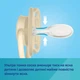 Пустышка силиконовая симметричная Canpol babies Dental Air 0-6 месяцев 2 шт (23/225_blu) - изображение 3