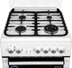 Плита комбинированная ARDESTO FSC-F6060PW - изображение 3