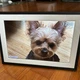 Цифровая электронная фоторамка Frameo 10.1 дюймов, Сенсорный дисплей с экраном 1280x800 с WiFI и встроенной картой памяти 32GB Черный - изображение 6