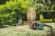 Кущоріз Bosch UniversalHedgeCut 50 (06008C0501) - зображення 3